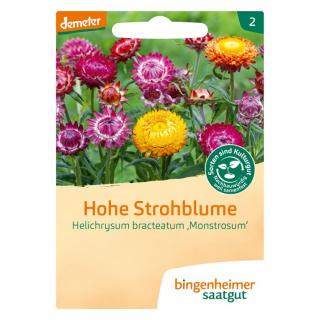 Strohblume Hohe, Bingenheimer Demeter Saatgut - Bl
